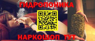 прущая мука Аргун