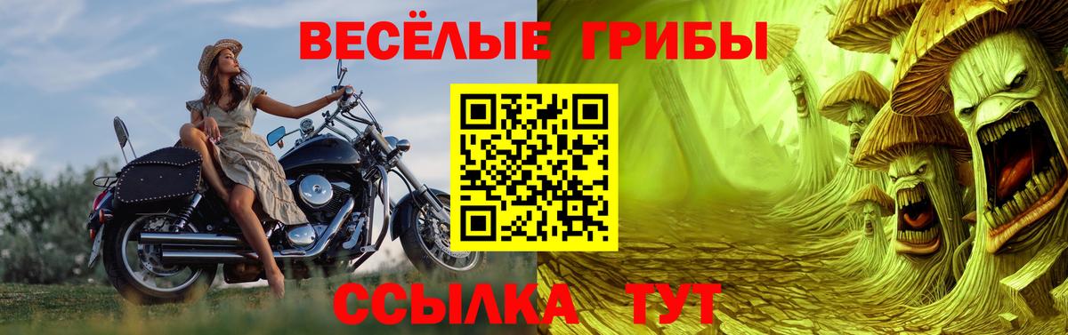 Псилоцибиновые грибы MAGIC MUSHROOMS Артём